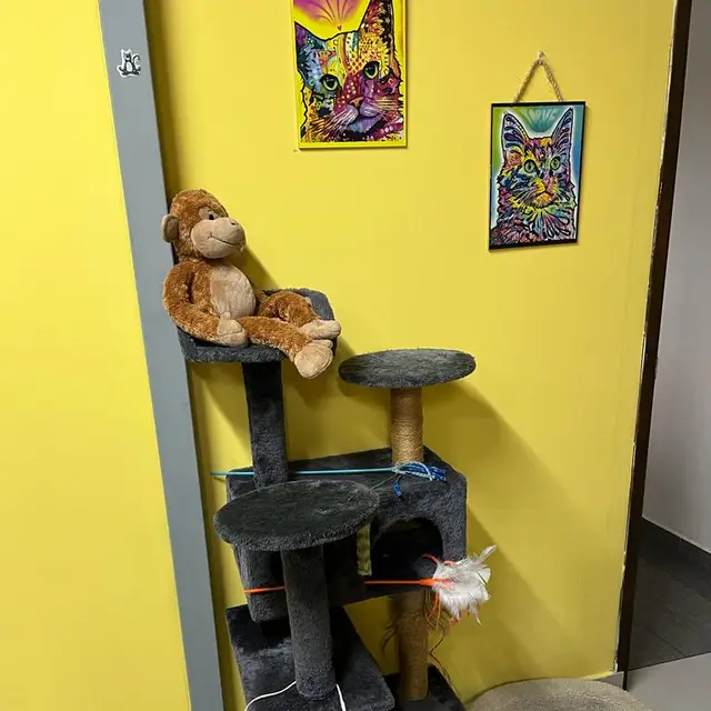 A cat enjoying its private space